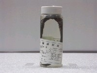 藏品(蠕紋裸胸鯙)的圖片